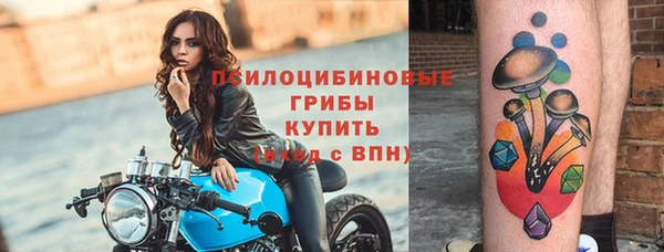 прущий лед Арсеньев